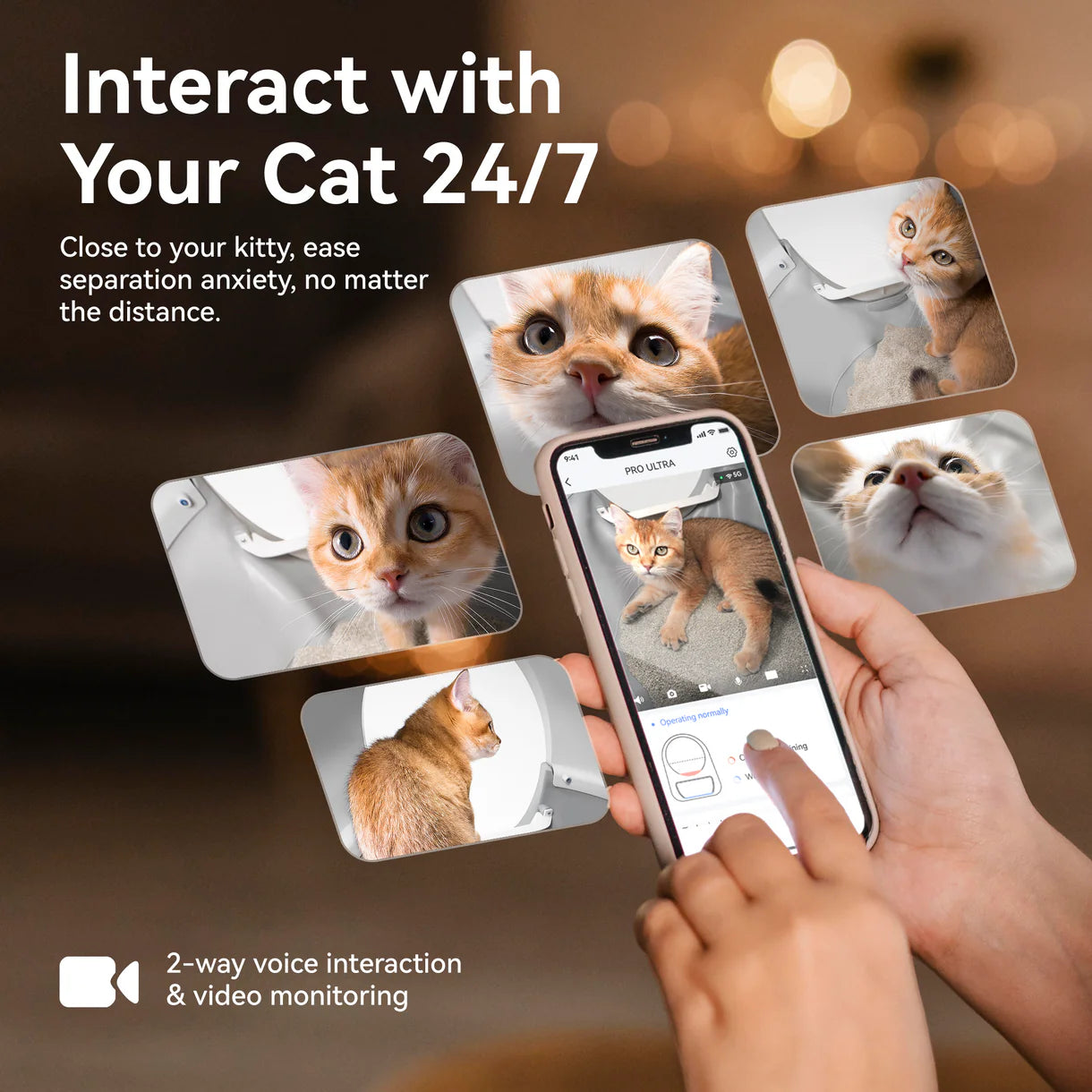 CATLINK AI 5GHz Camera Cat Litter Box - Scooper Pro Ultra