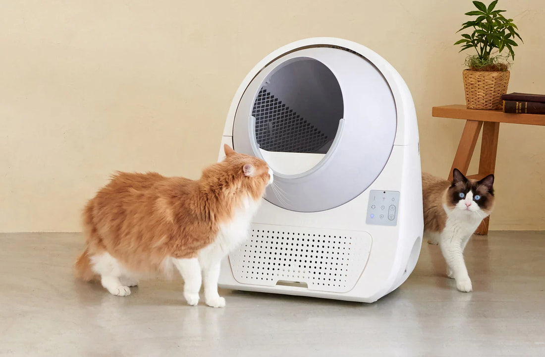 The Scoop on Self-Cleaning vs. Traditional Litter Boxes: Which is Best for Your Cat?