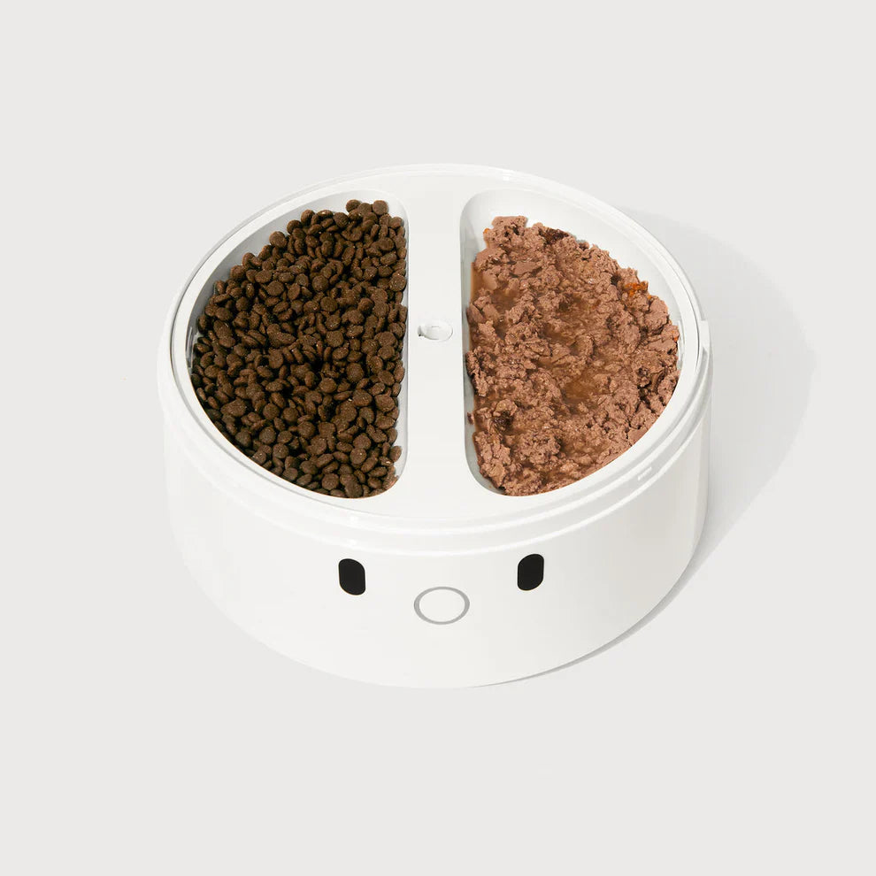 CATLINK RFID Pet Feeder - Standard