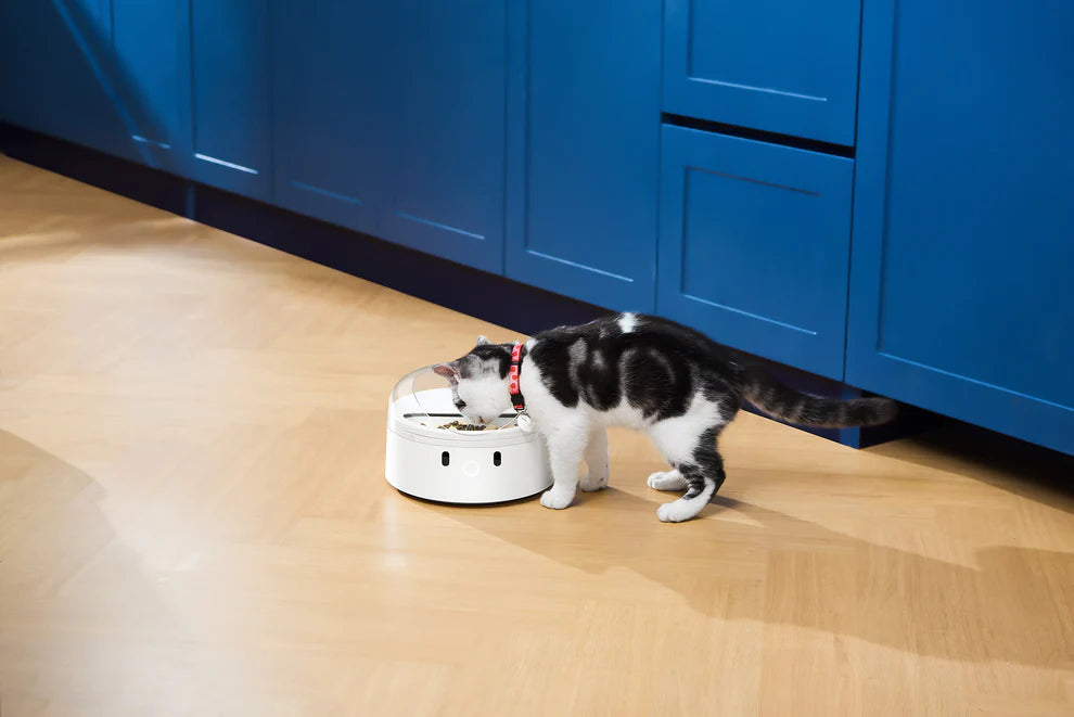 CATLINK RFID Pet Feeder - Standard