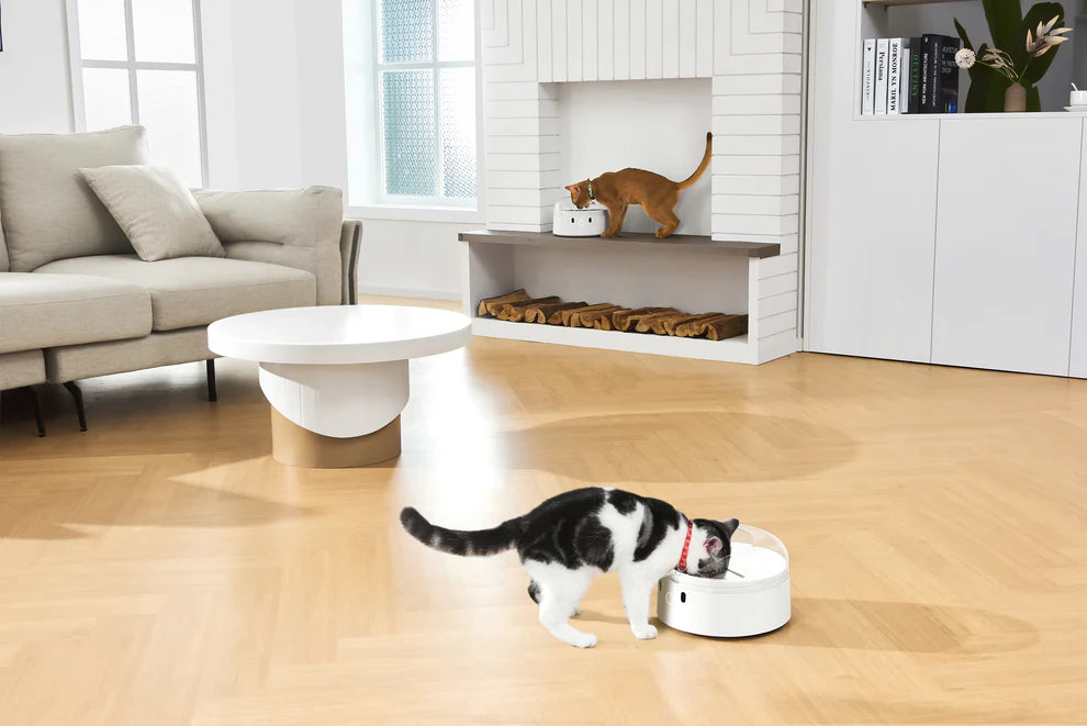 CATLINK RFID Pet Feeder - Standard